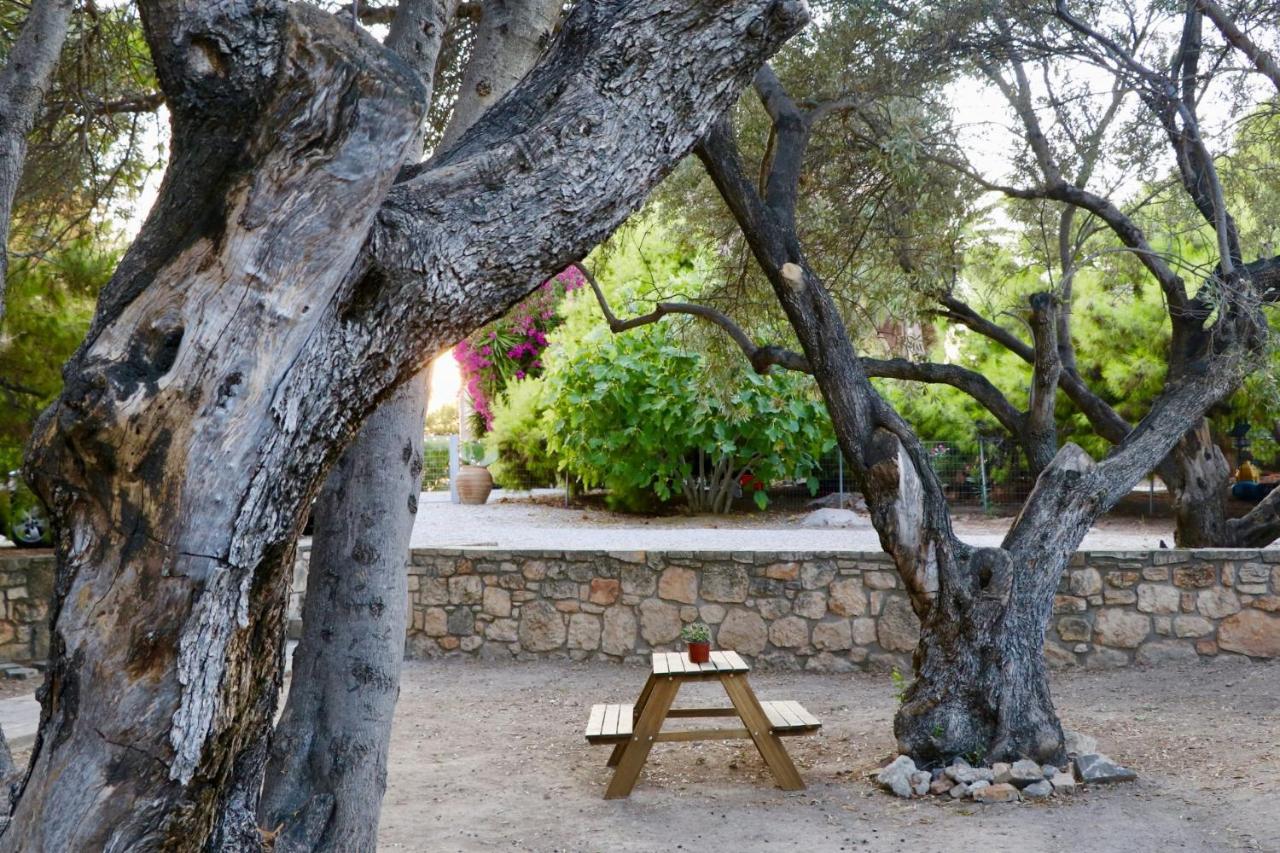 Pyrgos Ralli Estate Guesthouse Aegina Zewnętrze zdjęcie