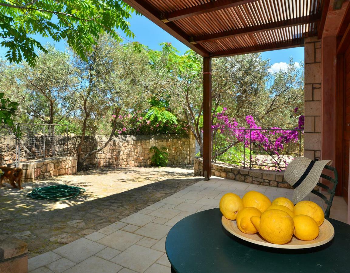 Pyrgos Ralli Estate Guesthouse Aegina Zewnętrze zdjęcie