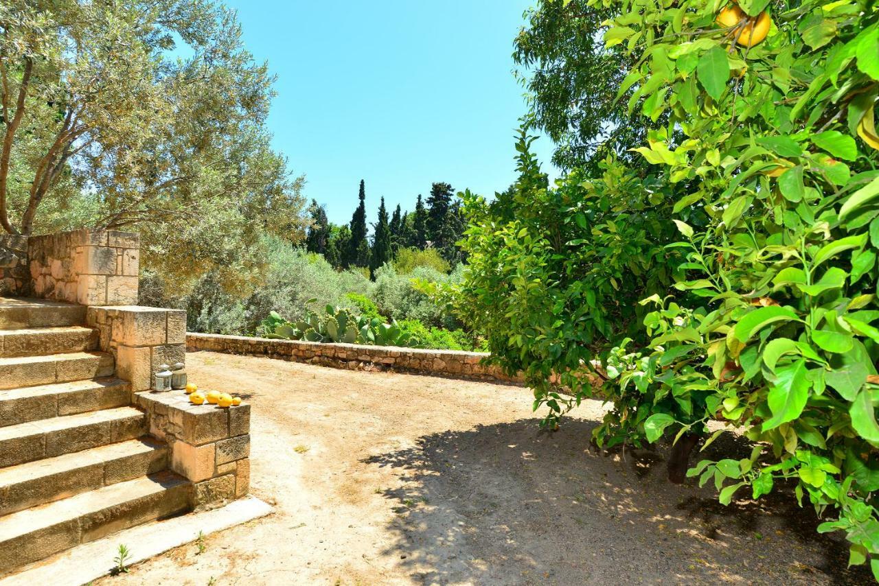 Pyrgos Ralli Estate Guesthouse Aegina Zewnętrze zdjęcie