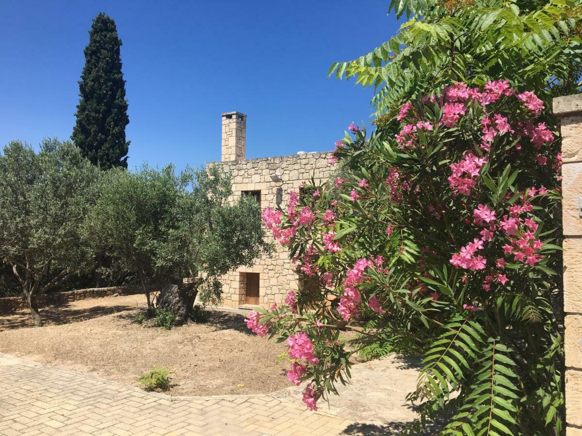 Pyrgos Ralli Estate Guesthouse Aegina Zewnętrze zdjęcie
