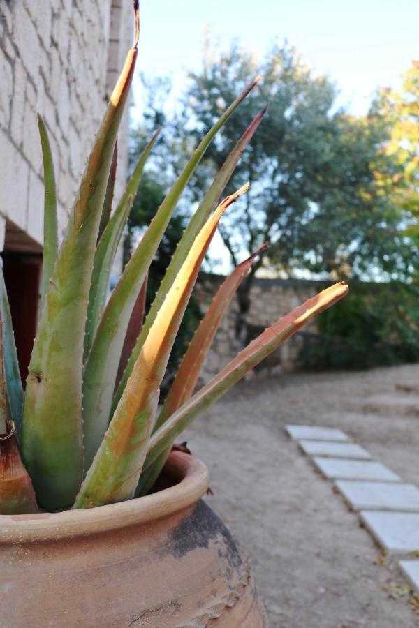 Pyrgos Ralli Estate Guesthouse Aegina Zewnętrze zdjęcie